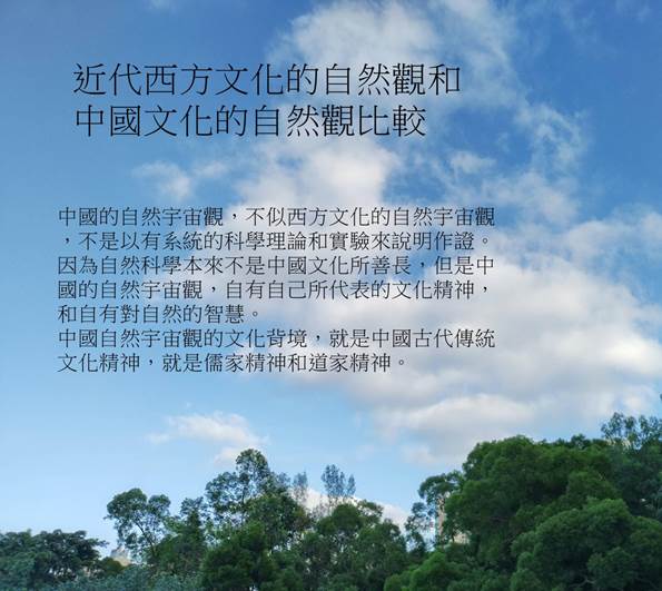 IMG_20231115_161251_HDR