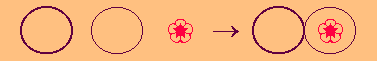 peony.gif (1839 bytes)